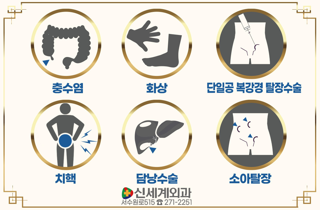 주요 치료 질환